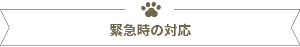 緊急時の対応