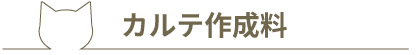 カルテ作成料